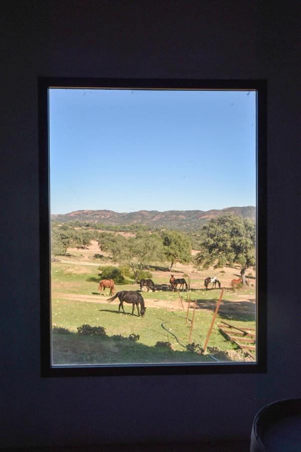 Finca Santa Maria De Las Canadas El Garrobo Екстер'єр фото