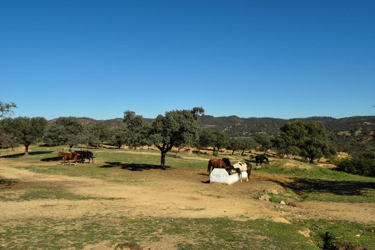 Finca Santa Maria De Las Canadas El Garrobo Екстер'єр фото